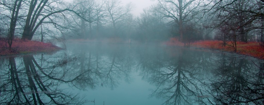 Recuerdos Enlagunados ©