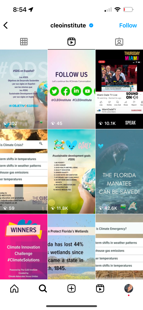 Social Media and Content Creation by Carolina Gonzalez (Carolina Portilla Garces)