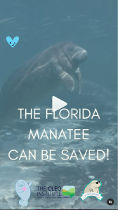 Reel by Carolina Gonzalez for The CLEO Institute - Manatees can be saved! 